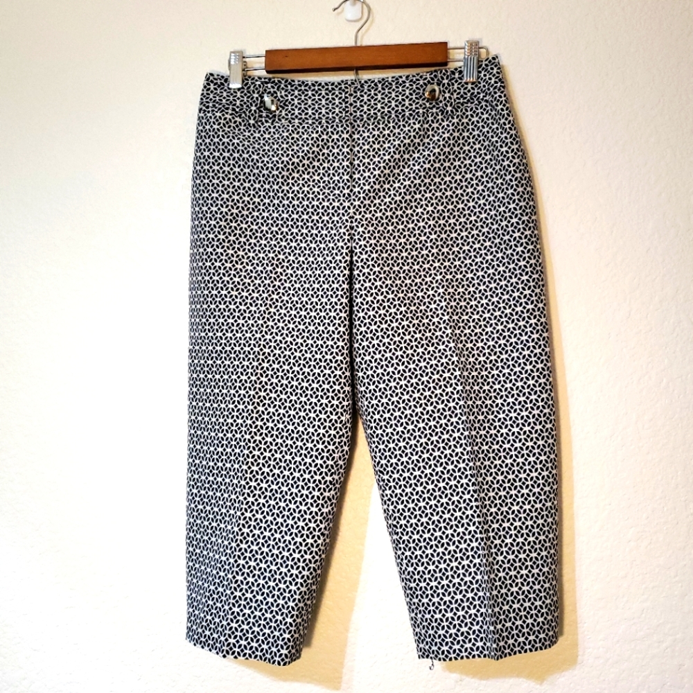Ann Taylor Margo Capris